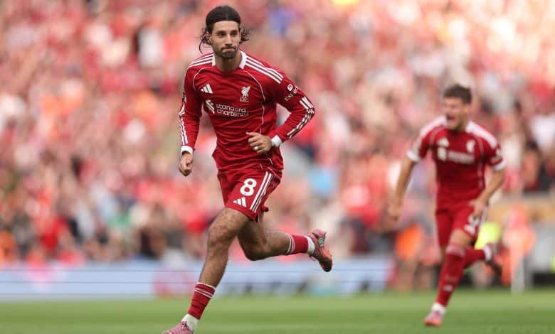 d48c6afe-5e3f-45e6-a78a-f09425a01976-780x470-1