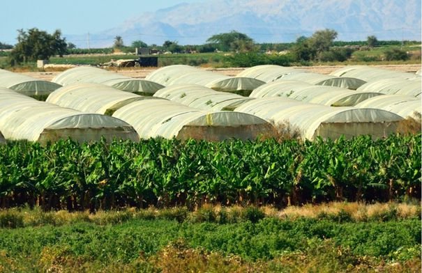 12202512152552110036077