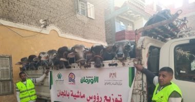 202602110417491749_20659